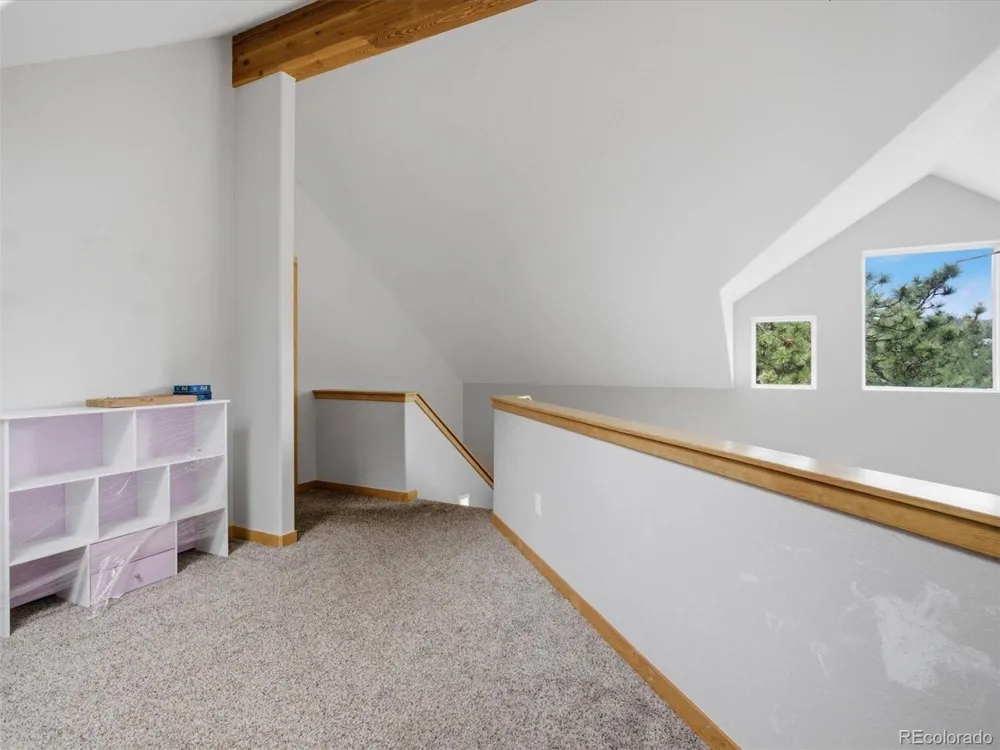 117 Spruce Trail Bailey, CO 80421