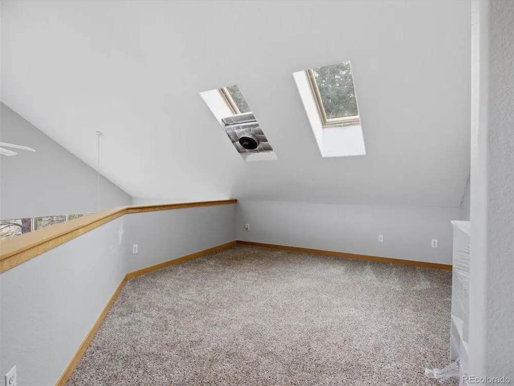 117 Spruce Trail Bailey, CO 80421