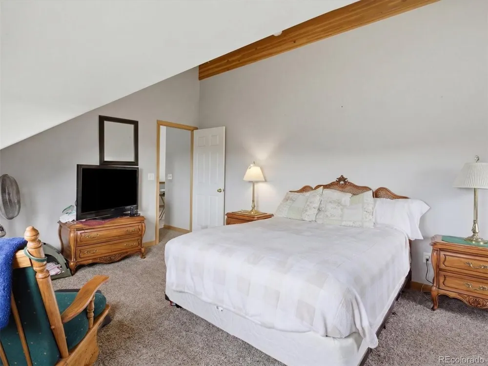 117 Spruce Trail Bailey, CO 80421