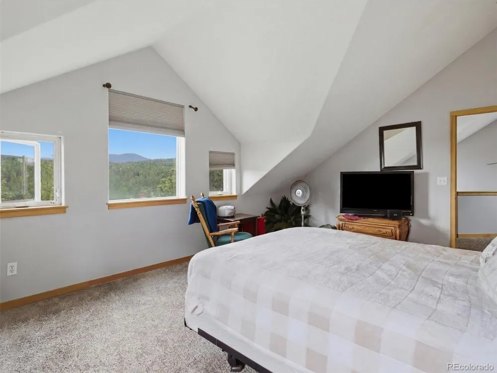117 Spruce Trail Bailey, CO 80421