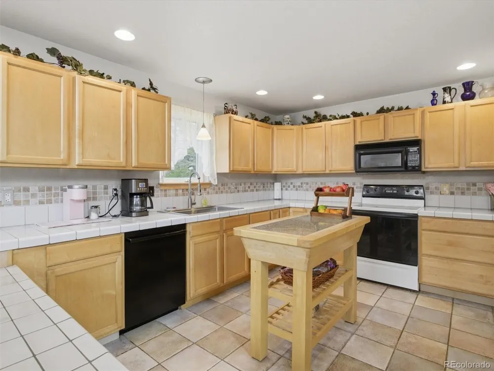 117 Spruce Trail Bailey, CO 80421