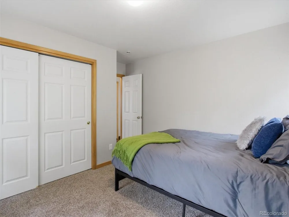117 Spruce Trail Bailey, CO 80421