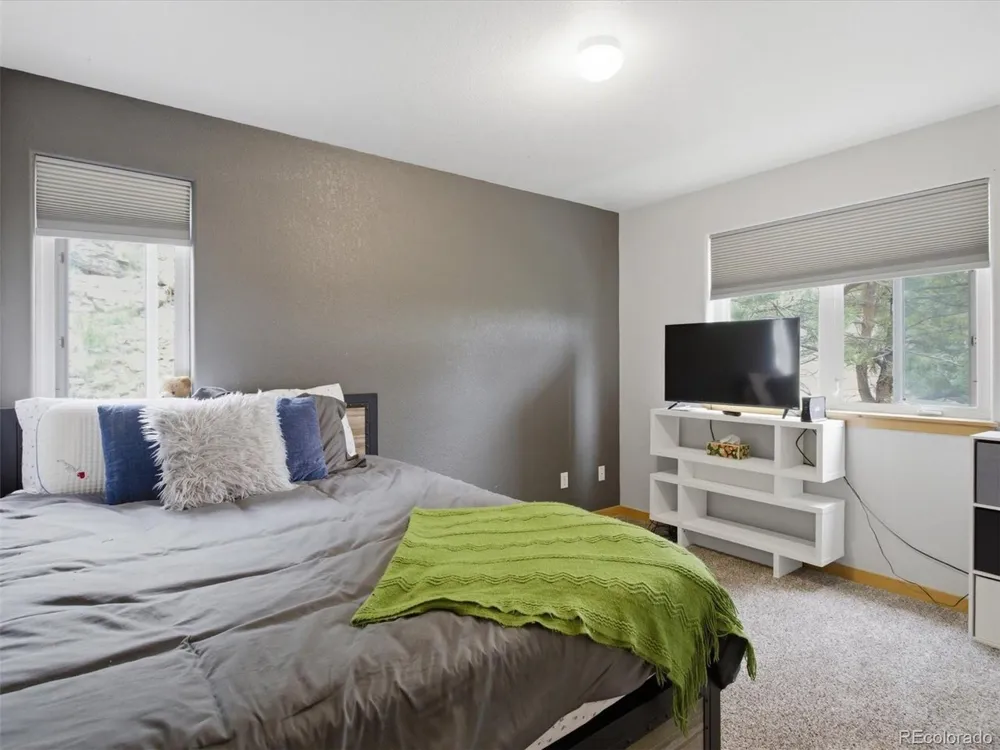117 Spruce Trail Bailey, CO 80421
