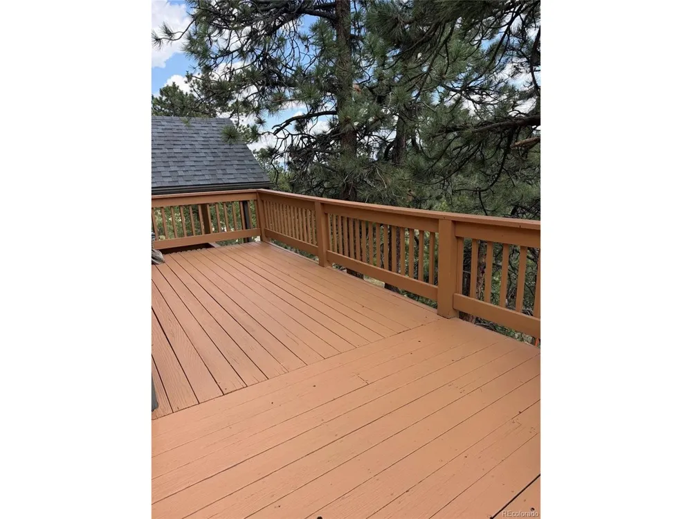 117 Spruce Trail Bailey, CO 80421