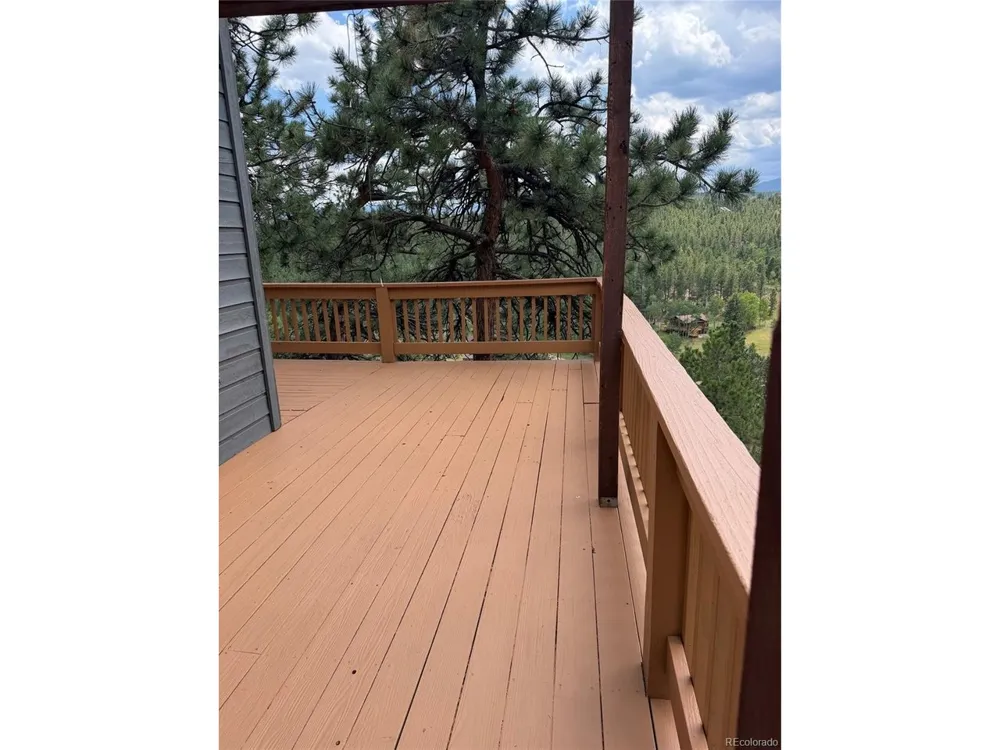 117 Spruce Trail Bailey, CO 80421