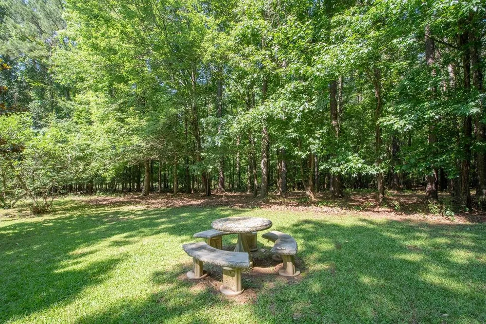 115 Hazelridge Lane Sharpsburg, GA 30277