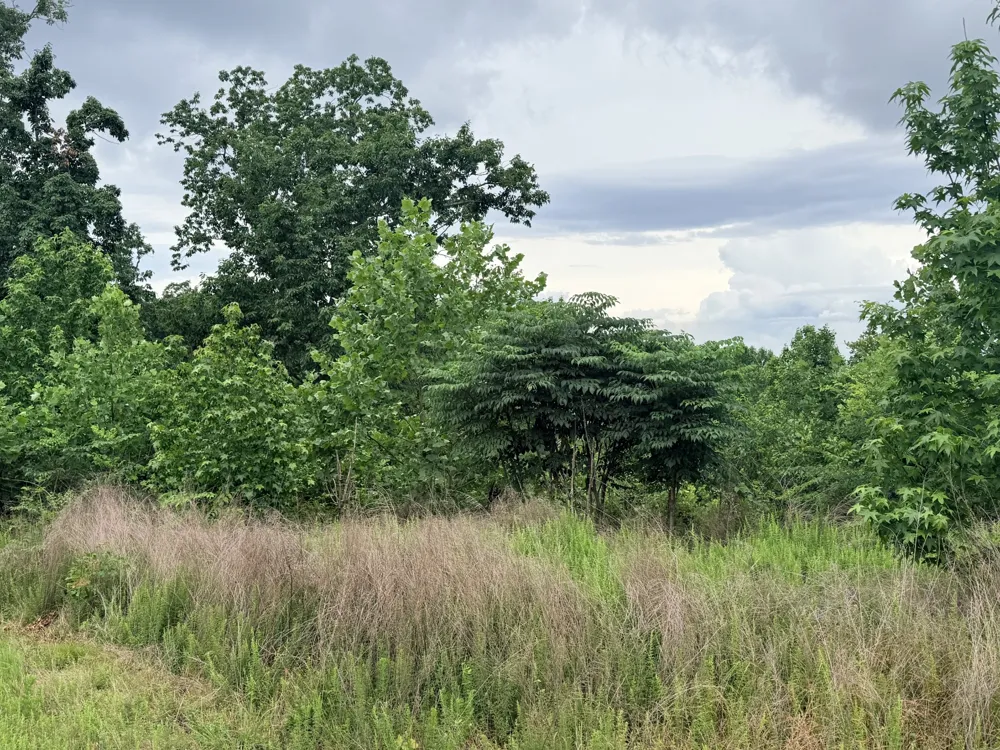 0 Lake Ridge Dr Stewart, TN 37175