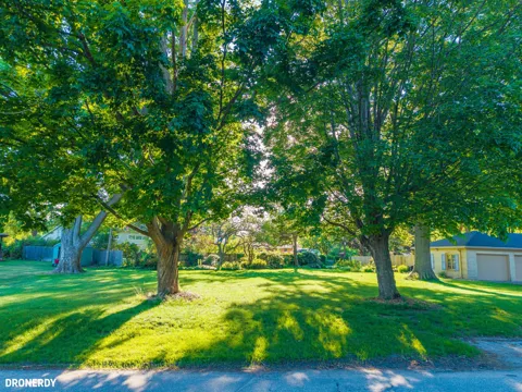0 Maple Street