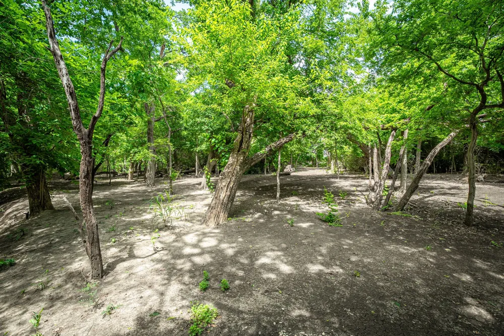 1615 Sara Cove Lucas, TX 75002