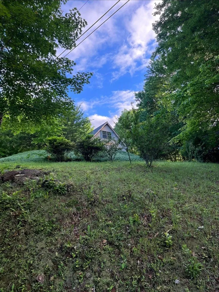 256 High Top Lane Andrews, NC 28901