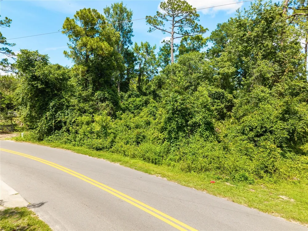 FISHERMANS ROAD Paisley, FL 32767