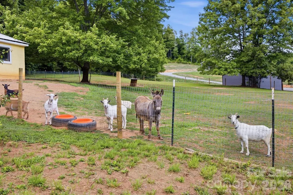360 Johnson Caldwell Road Boomer, NC 28606