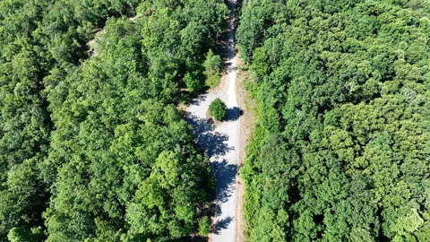 0 Coker Creek Trail