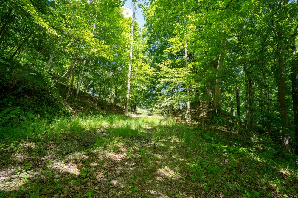 866 W 90th Street Newaygo, MI 49337