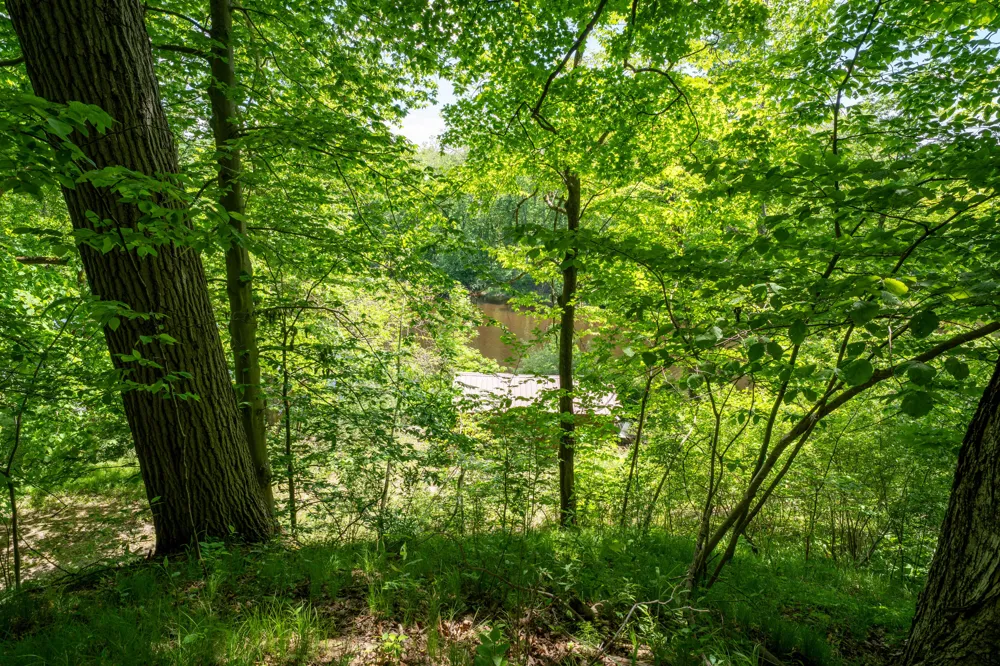 866 W 90th Street Newaygo, MI 49337