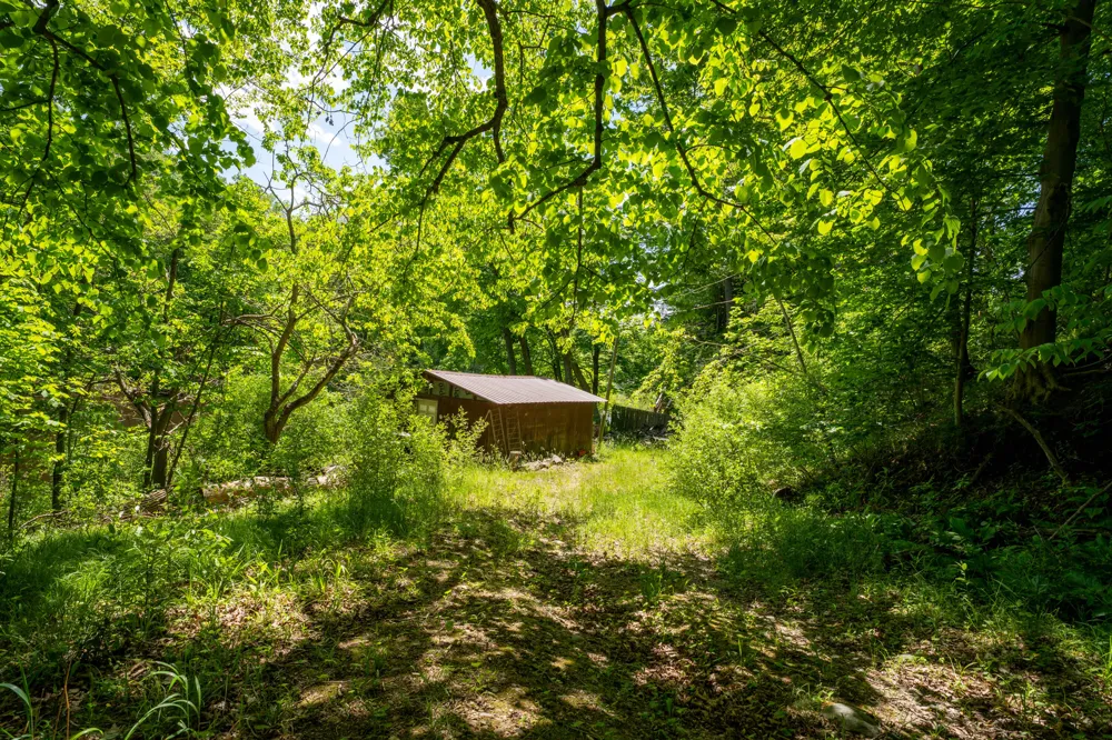 866 W 90th Street Newaygo, MI 49337