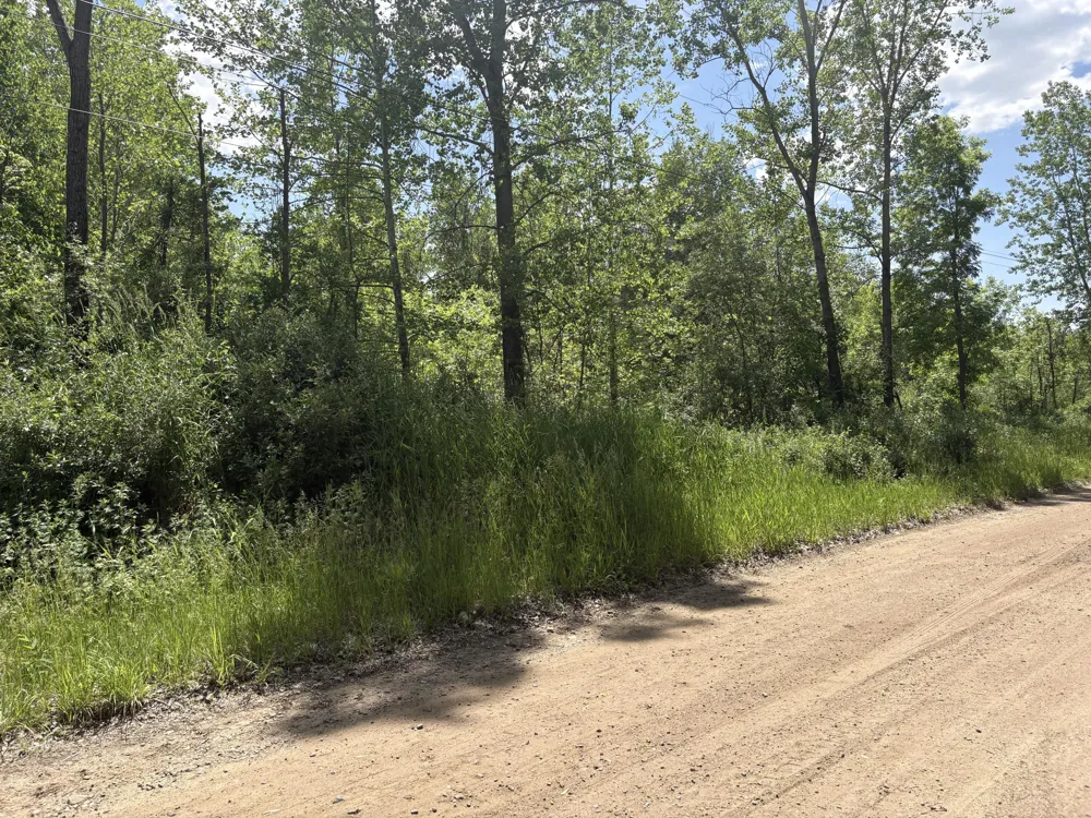866 W 90th Street Newaygo, MI 49337
