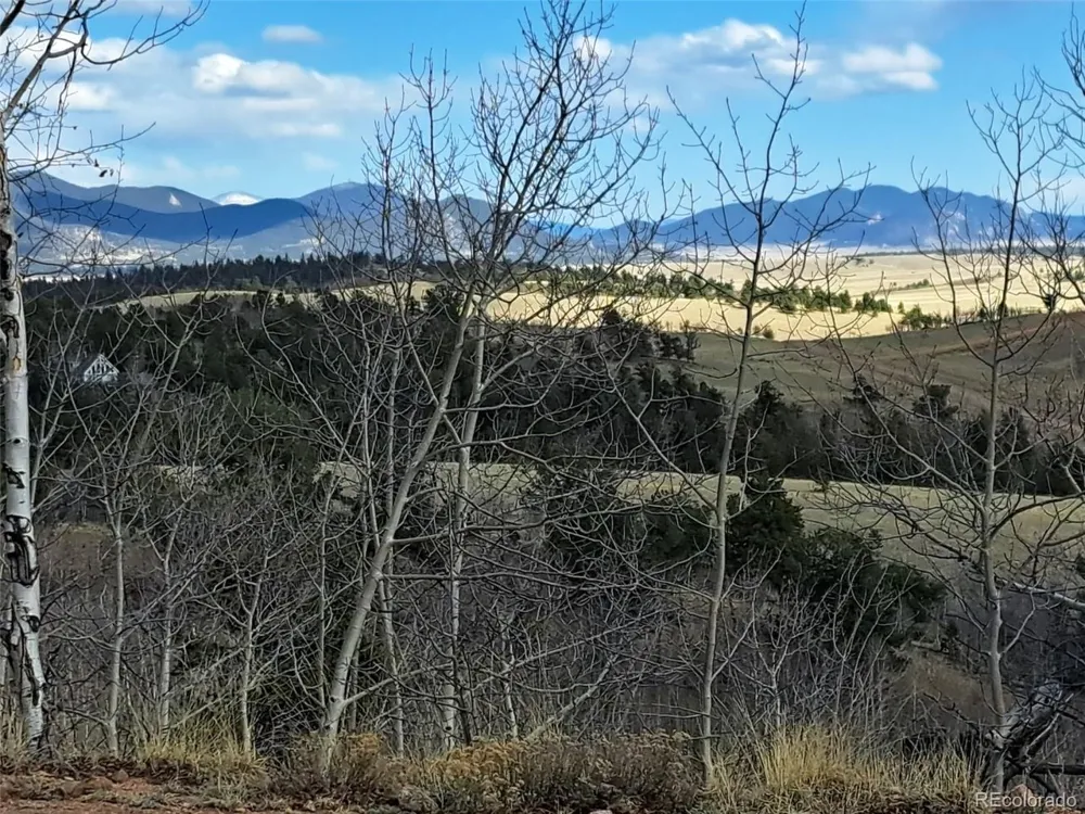 908 Raven Way Como, CO 80432