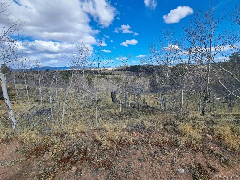 908 Raven Way Como, CO 80432