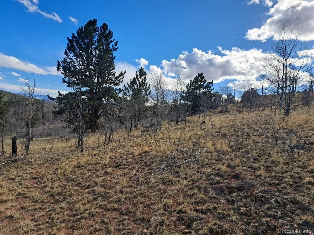 908 Raven Way Como, CO 80432