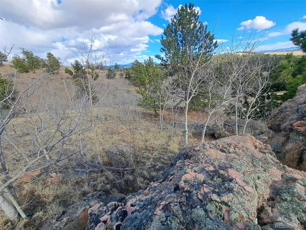 908 Raven Way Como, CO 80432