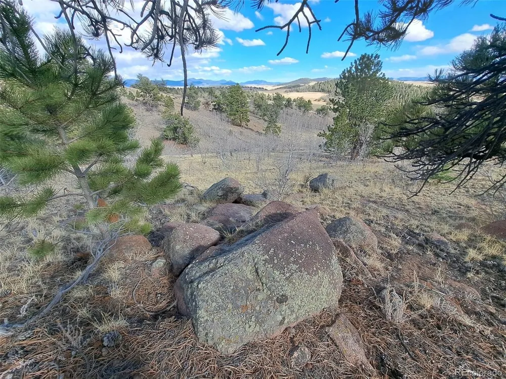 908 Raven Way Como, CO 80432