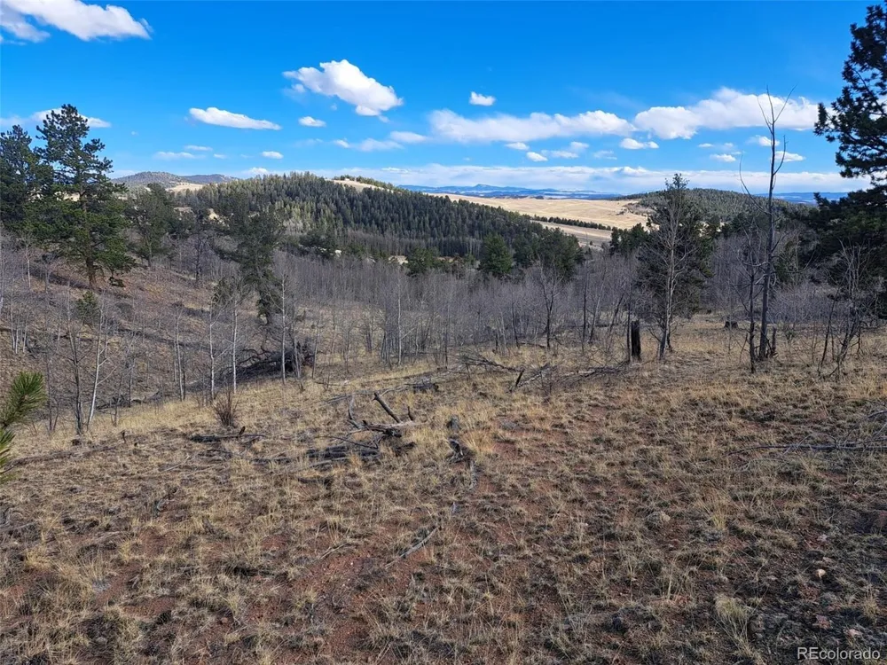 908 Raven Way Como, CO 80432