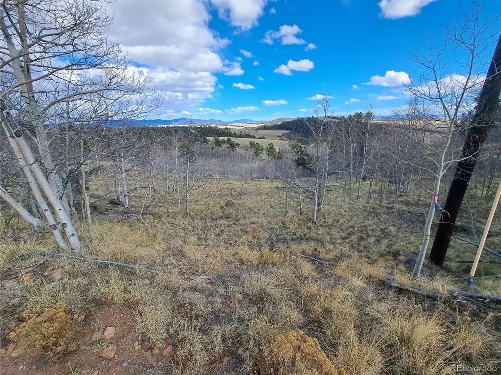 908 Raven Way Como, CO 80432