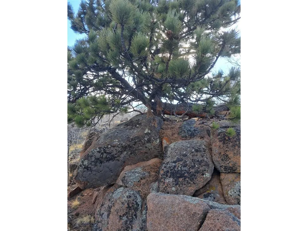 908 Raven Way Como, CO 80432