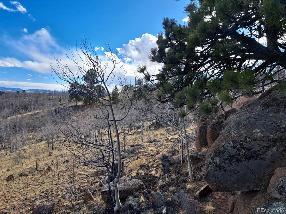 908 Raven Way Como, CO 80432