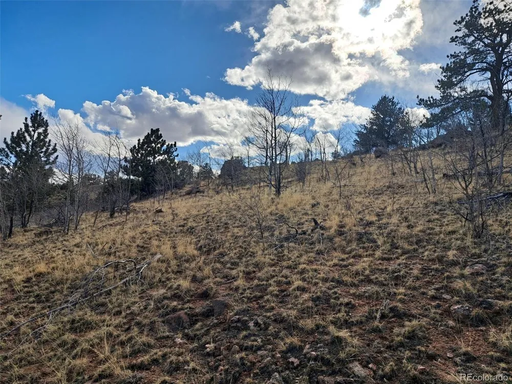908 Raven Way Como, CO 80432