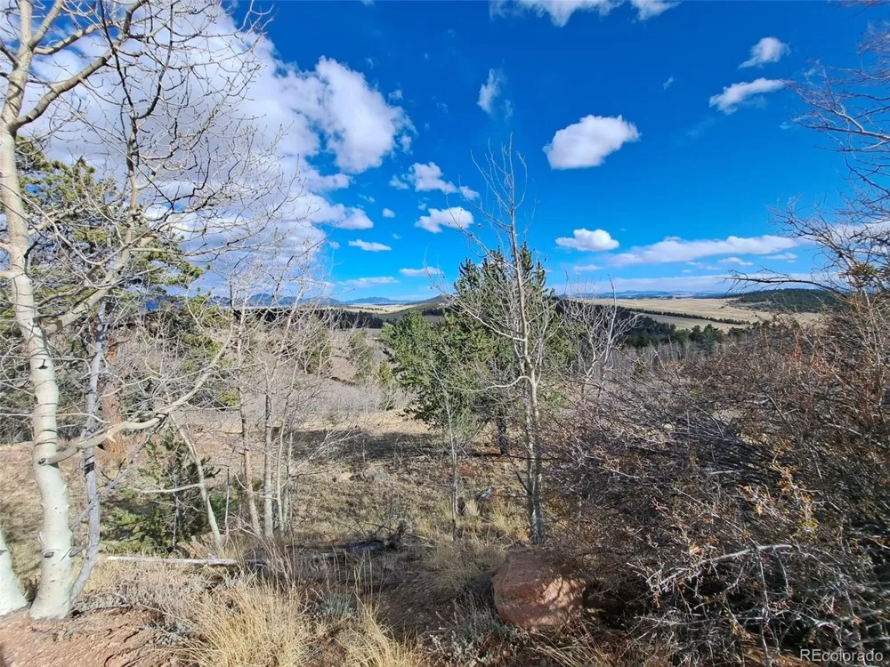 908 Raven Way Como, CO 80432