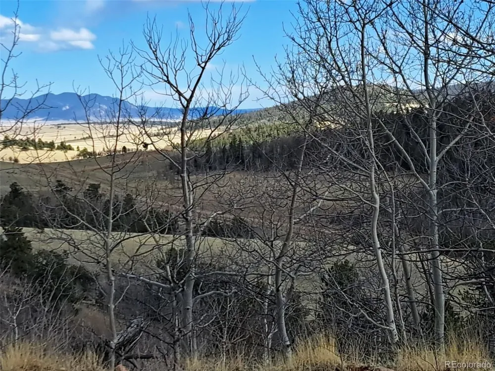 908 Raven Way Como, CO 80432