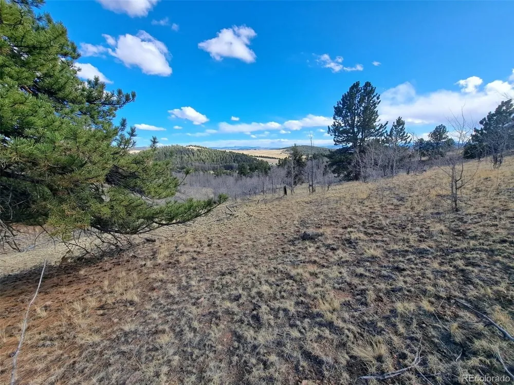 908 Raven Way Como, CO 80432