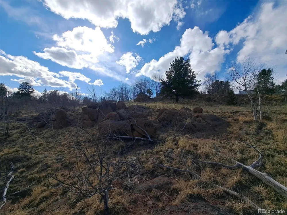 908 Raven Way Como, CO 80432