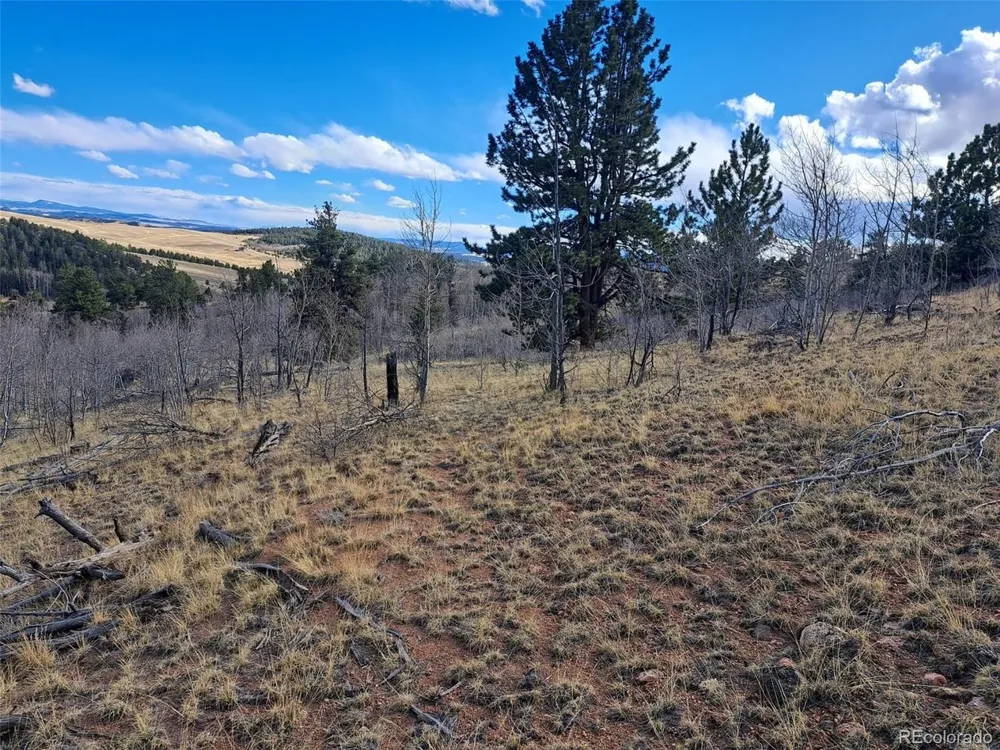 908 Raven Way Como, CO 80432