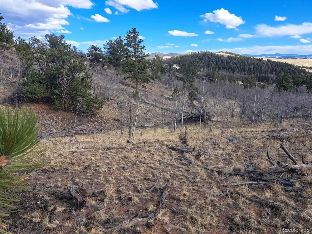 908 Raven Way Como, CO 80432