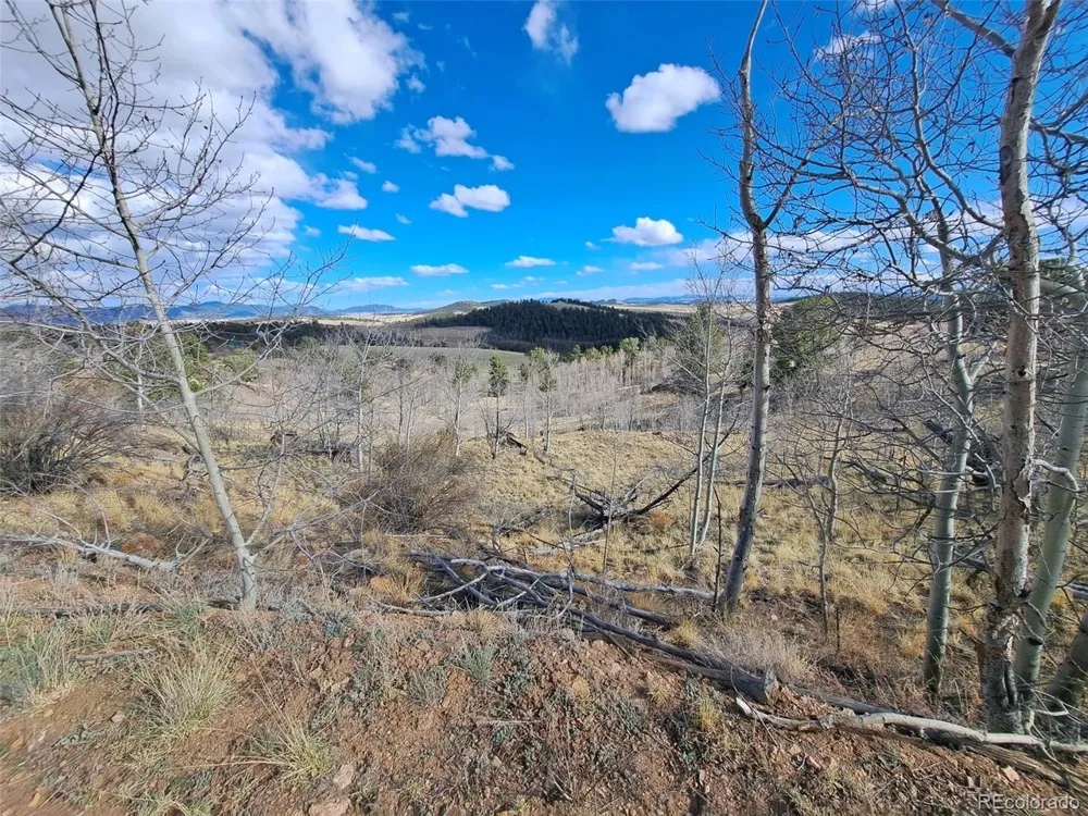 908 Raven Way Como, CO 80432