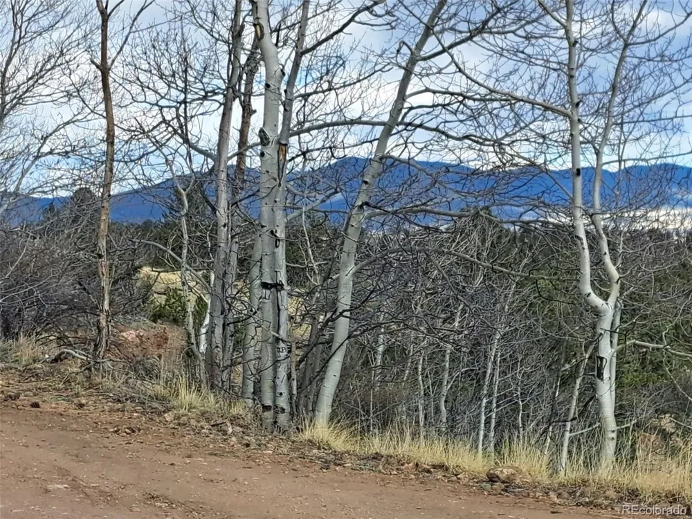 908 Raven Way Como, CO 80432