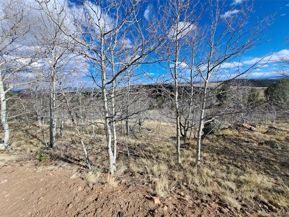908 Raven Way Como, CO 80432