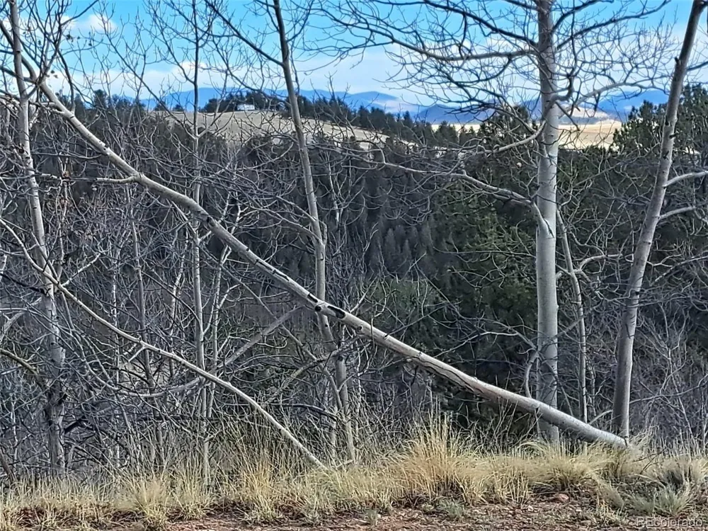 908 Raven Way Como, CO 80432