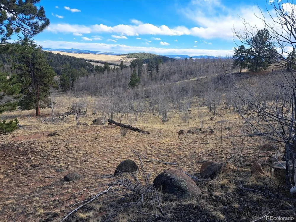 908 Raven Way Como, CO 80432