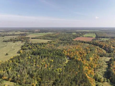 Lot D 67AC N Blackduck Lake Road