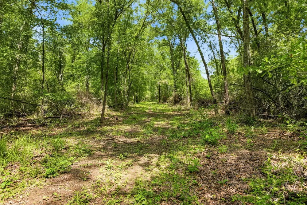 3457 County Road 364 Milano, TX 76556
