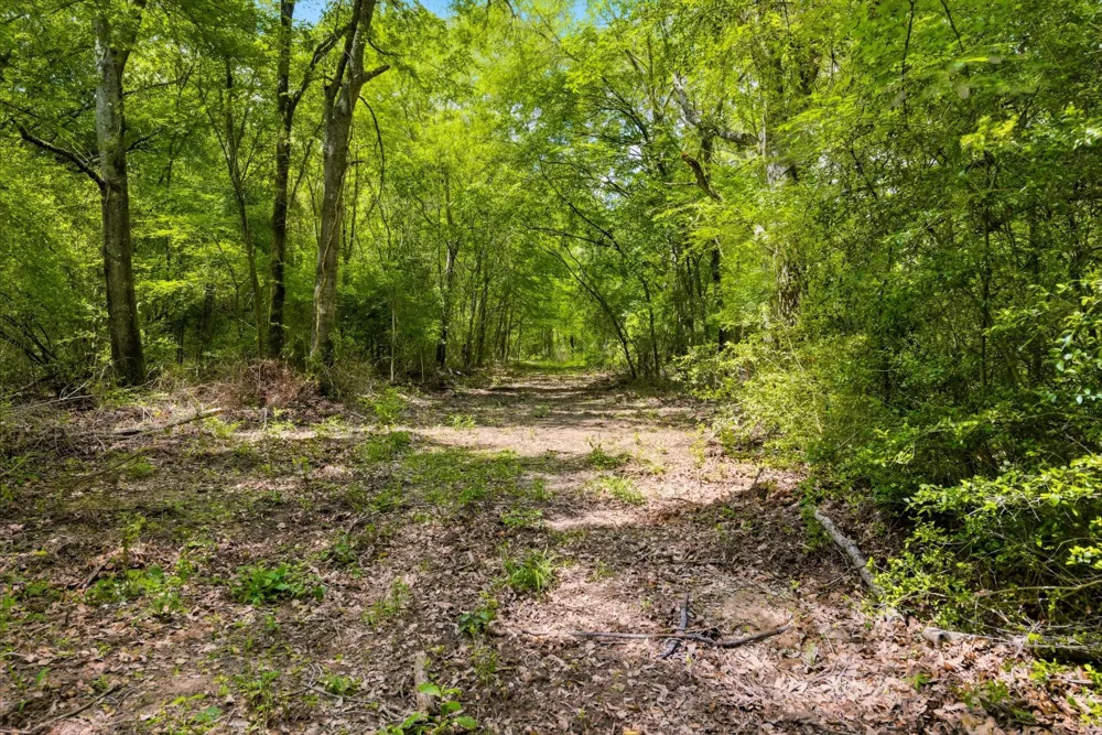 3457 County Road 364 Milano, TX 76556