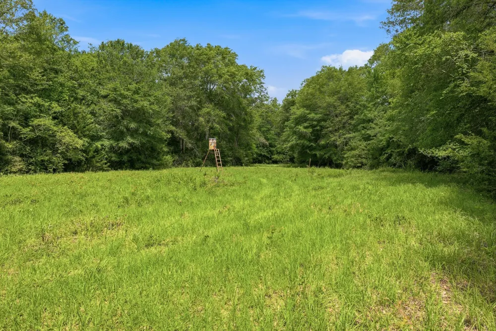 3457 County Road 364 Milano, TX 76556