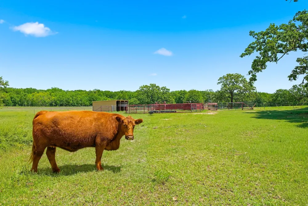 3457 County Road 364 Milano, TX 76556