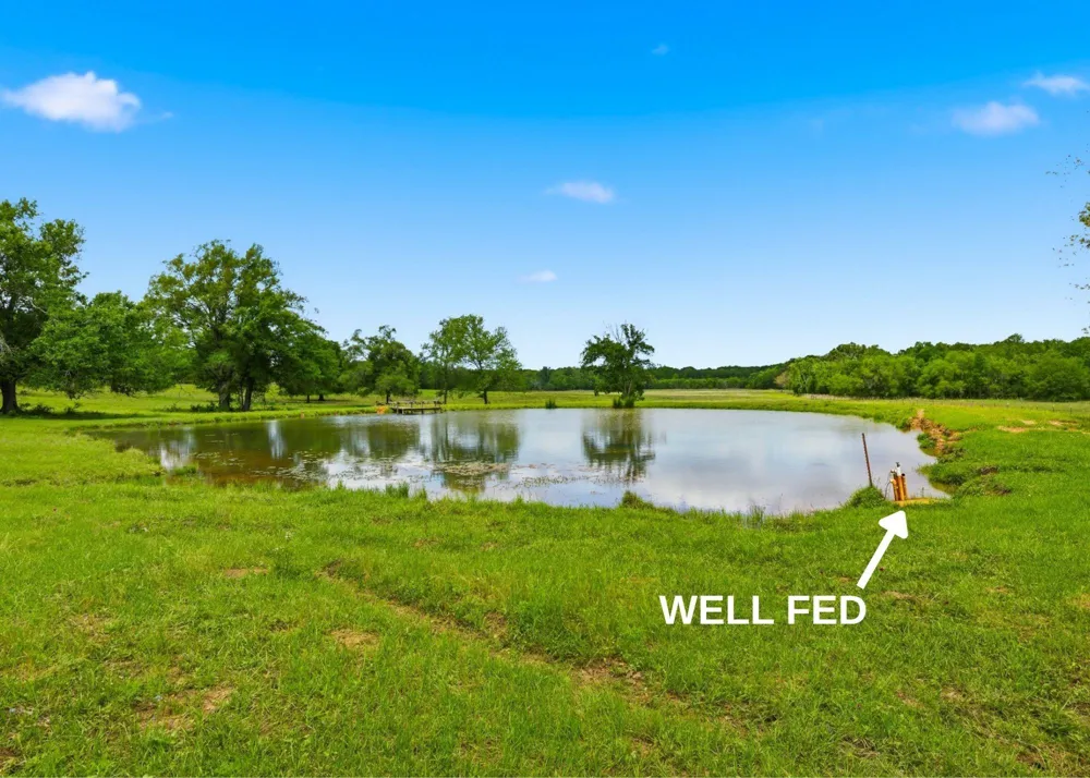 3457 County Road 364 Milano, TX 76556