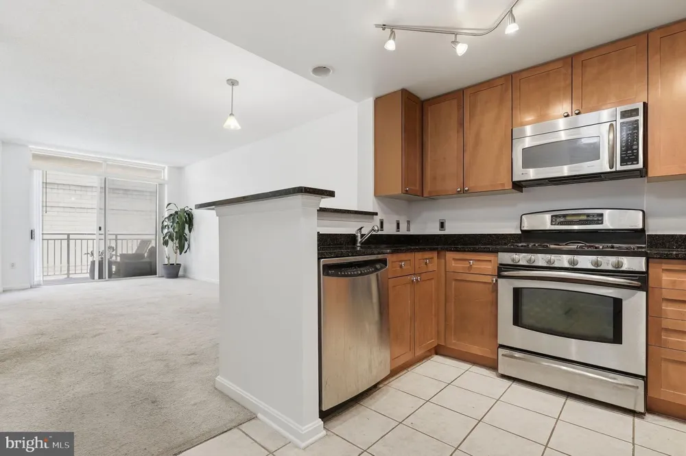 930 WAYNE AVENUE #201 Silver Spring, MD 20910