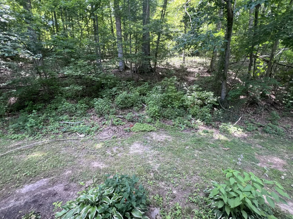 455 Beasley Hollow Rd Linden, TN 37096